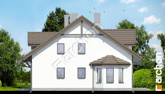 Бочний фасад Будинок в дельфініумі 2 вер.2