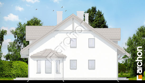 Боковой фасад Дом в дельфиниуме 2 вер.2