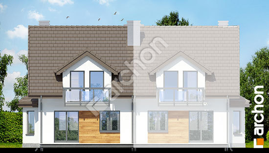 Дворовий фасад Будинок в дельфініумі 2 вер.2