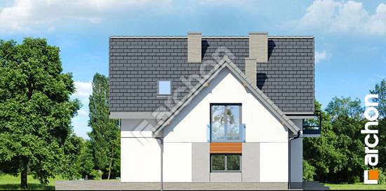 Боковой фасад Дом в винограде 6 вер.2