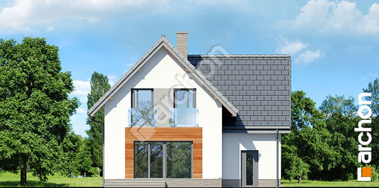 Дворовой фасад Дом в винограде 6 вер.2