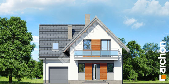 Передний фасад Дом в винограде 6 вер.2