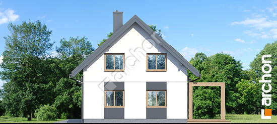 Боковой фасад Дом в хлорофитуме 21 (Г)