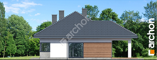 Бочний фасад Будинок в жонкілях (В)