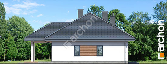 Бочний фасад Будинок в жонкілях (В)