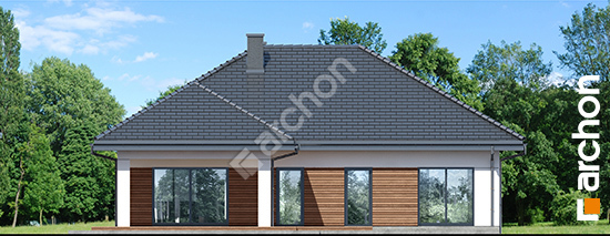 Дворовой фасад Дом в жонкилях (В)