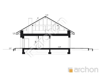 Проєкт будинку ARCHON+ Будинок в жонкілях (В) Розріз будинку