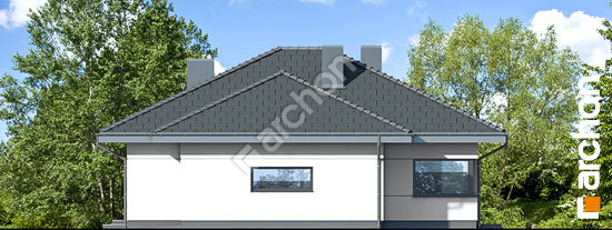 Бочний фасад Будинок в хакетіях 5 (Г)