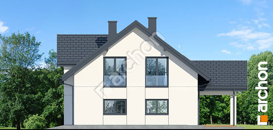 Бочний фасад Будинок в комміфорах 9