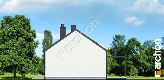 Бочний фасад Будинок в ірисах 8 (Н)