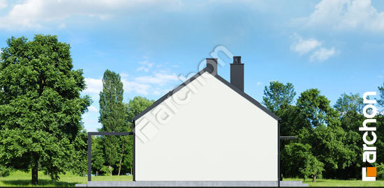 Боковой фасад Дом в ирисе 8 (Н)