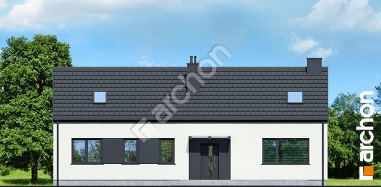 Передній фасад Будинок в ірисах 8 (Н)