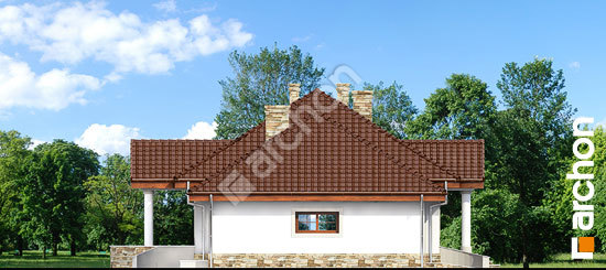 Бочний фасад Будинок в гаурах вер.2