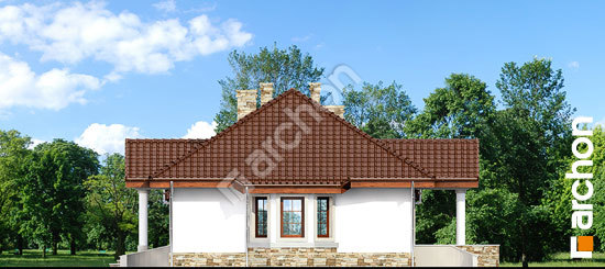 Боковой фасад Дом в гаурах вер.2