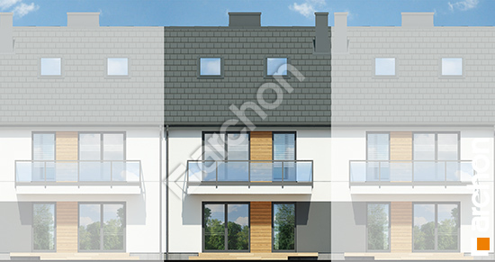 Дворовой фасад Дом в фиалках 14 (Р2С) вер.3