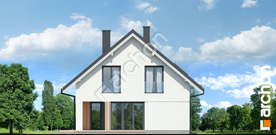 Бочний фасад Будинок в ізопірумі 11