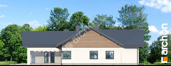 Боковой фасад Дом в камасиях 2 (Г2)