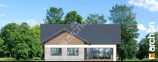 Дворовий фасад Будинок в камасіях 2 (Г2)