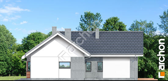 Бочний фасад Будинок в галах (Г)