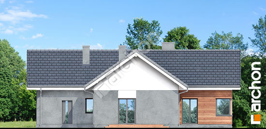 Дворовой фасад Дом в галах (Г)