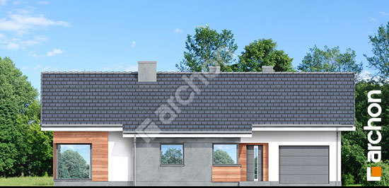 Передній фасад Будинок в галах (Г)