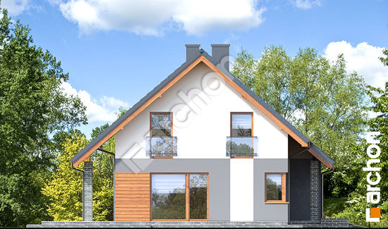 Бочний фасад Будинок в журавках 7