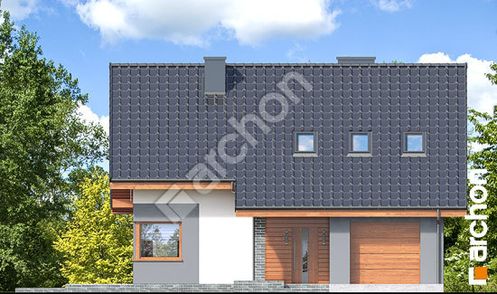 Передній фасад Будинок в журавках 7