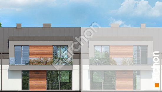 Дворовий фасад Будинок в полині 2 (С