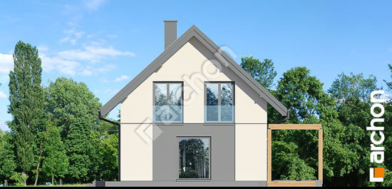 Бочний фасад Будинок в хлорофітумі 20