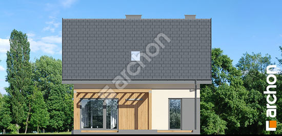 Дворовой фасад Дом в хлорофитуме 20