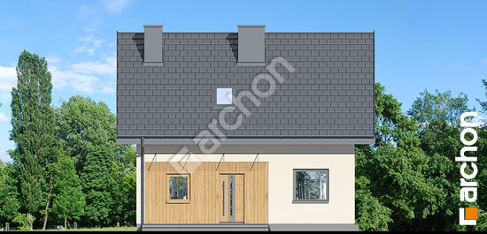 Передній фасад Будинок в хлорофітумі 20