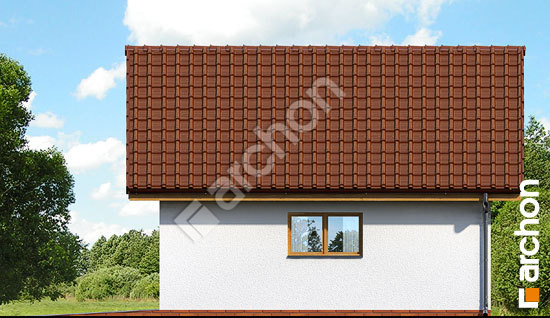 Боковой фасад Г10 - Хозяйственная постройка вер.2