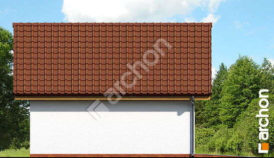 Бочний фасад Господарська будівля Г10 вер. 2  