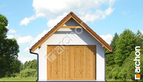 Передній фасад Господарська будівля Г10 вер. 2  