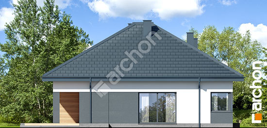 Бочний фасад Будинок в ренклодах 25