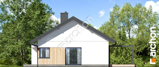 Бочний фасад Будинок в лещиновнику 10