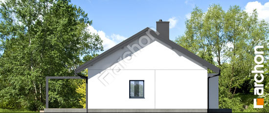 Боковой фасад Дом в лещиновнике 10