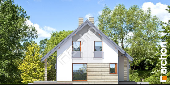 Боковой фасад Дом в журавках 4 (Г2)