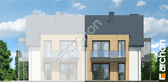 Дворовой фасад Дом в давидиях (Р2Б) вер.2 