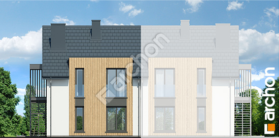 Передній фасад Будинок в давидіях (Р2Б) вер.2 