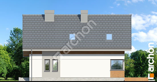 Дворовий фасад Будинок в журавках 6 (В)