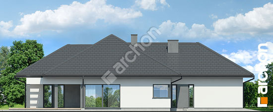 Бочний фасад Будинок в підсніжниках 17 (Г2Е)