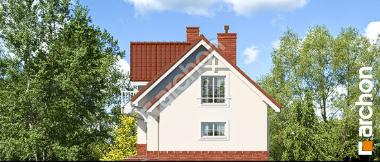 Бочний фасад Будинок в люпині вер.2