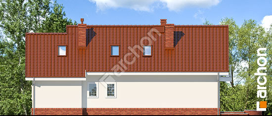 Дворовой фасад Дом в люпине вер.2