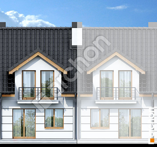 Дворовой фасад Дом под гинко вер.2