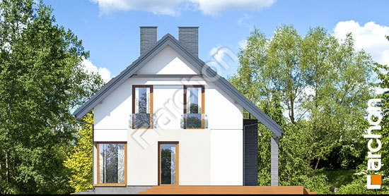 Бочний фасад Будинок в цитринках (П)