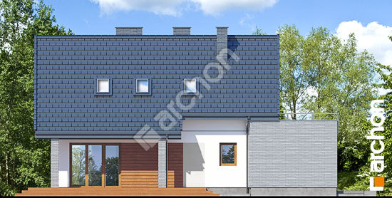 Дворовой фасад Дом в цитринках (П)