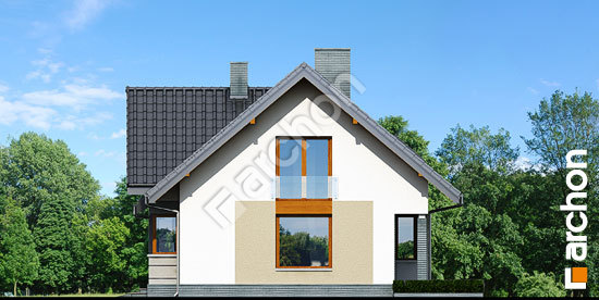 Боковой фасад Дом в спатифиллуме вер.2