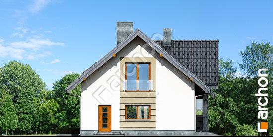 Боковой фасад Дом в спатифиллуме вер.2