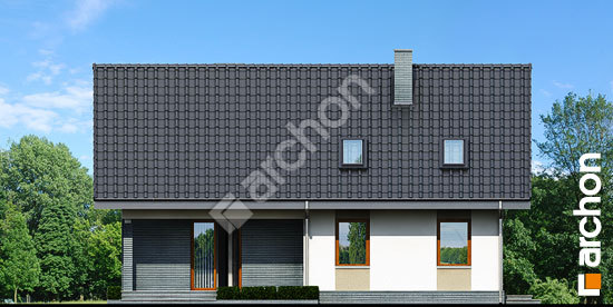 Дворовий фасад Будинок в спатифілумі вер.2